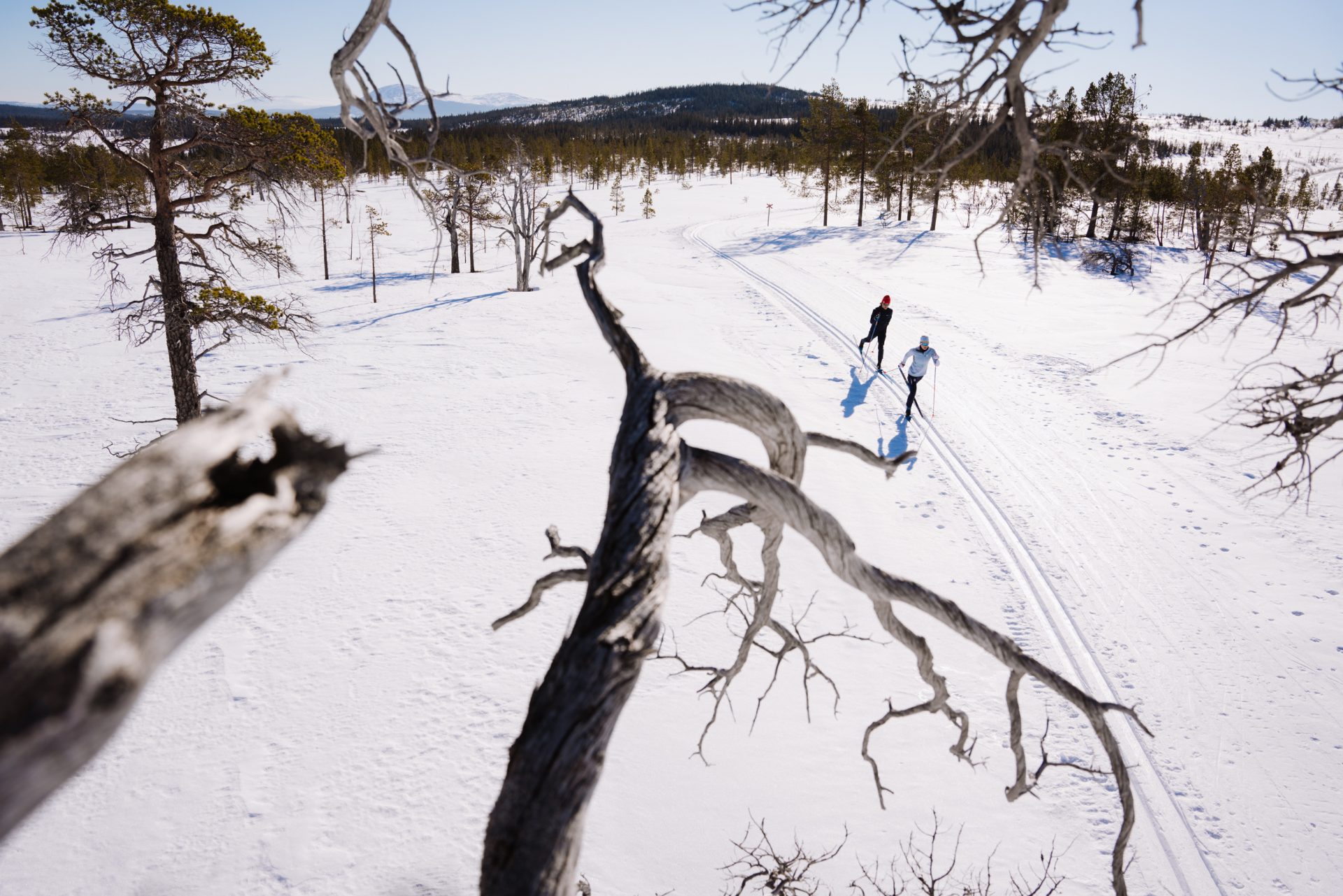 Fakta statistik Jämtland Härjedalen Turism