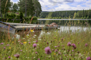 Sommar brygga Lena Hedman