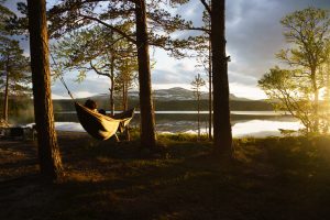 Relax hängmatta Södra Årefjällen Foto: Emrik Jansson