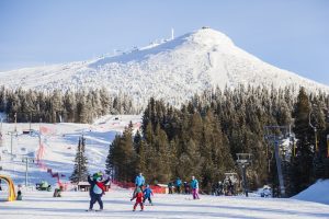 Lofsdalen skidor Loffe Hovärken