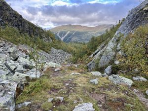 Dromskåran utsikt mot Bydalsfjällens backsystem Anne Adsten