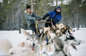 Hundsläde vinter Darren Hamlin