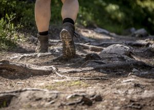 Sommarled, Per Danielsson