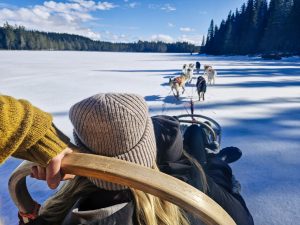 Hundspann med Nordbakks i Gäddede, Vildmarksvägen
