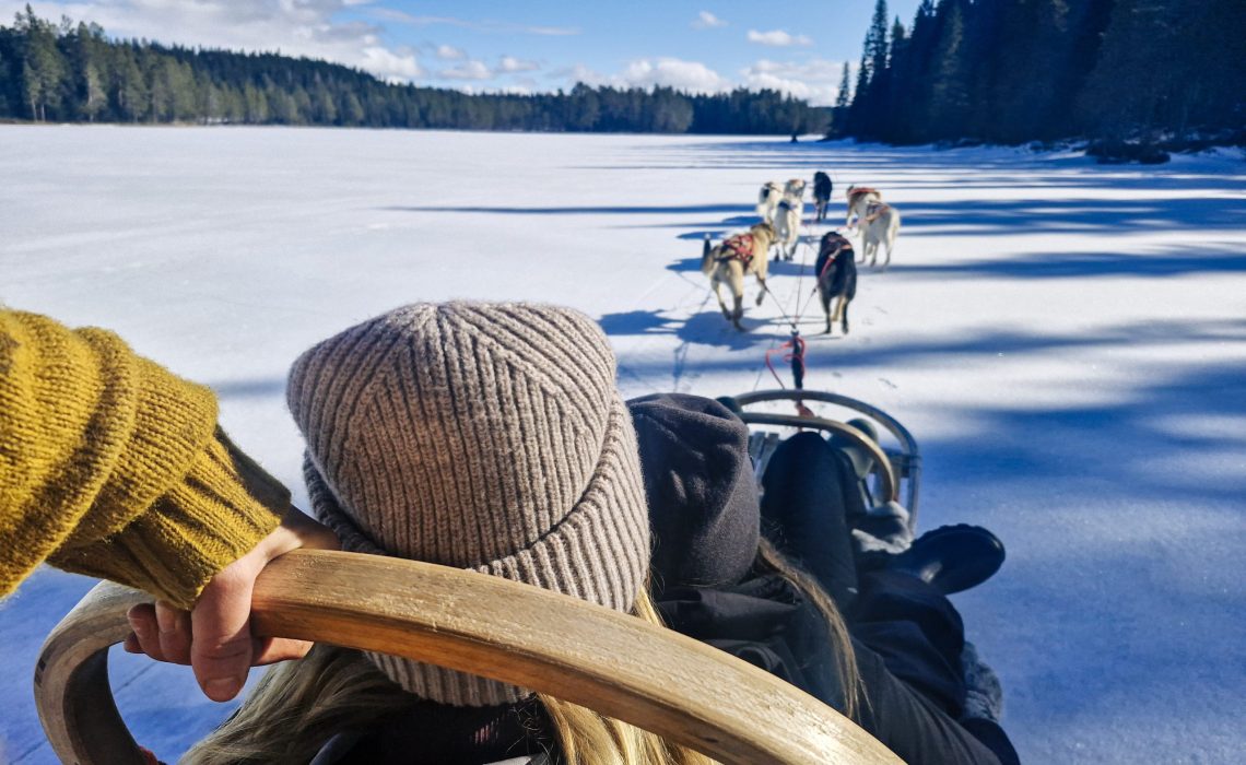 Hundspann med Nordbakks i Gäddede, Vildmarksvägen