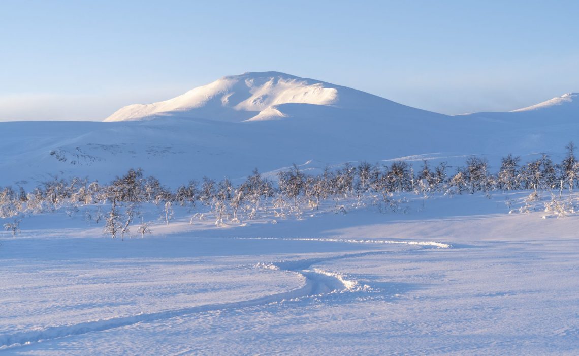 Snöskoterspår. Foto: Hans Wärdell