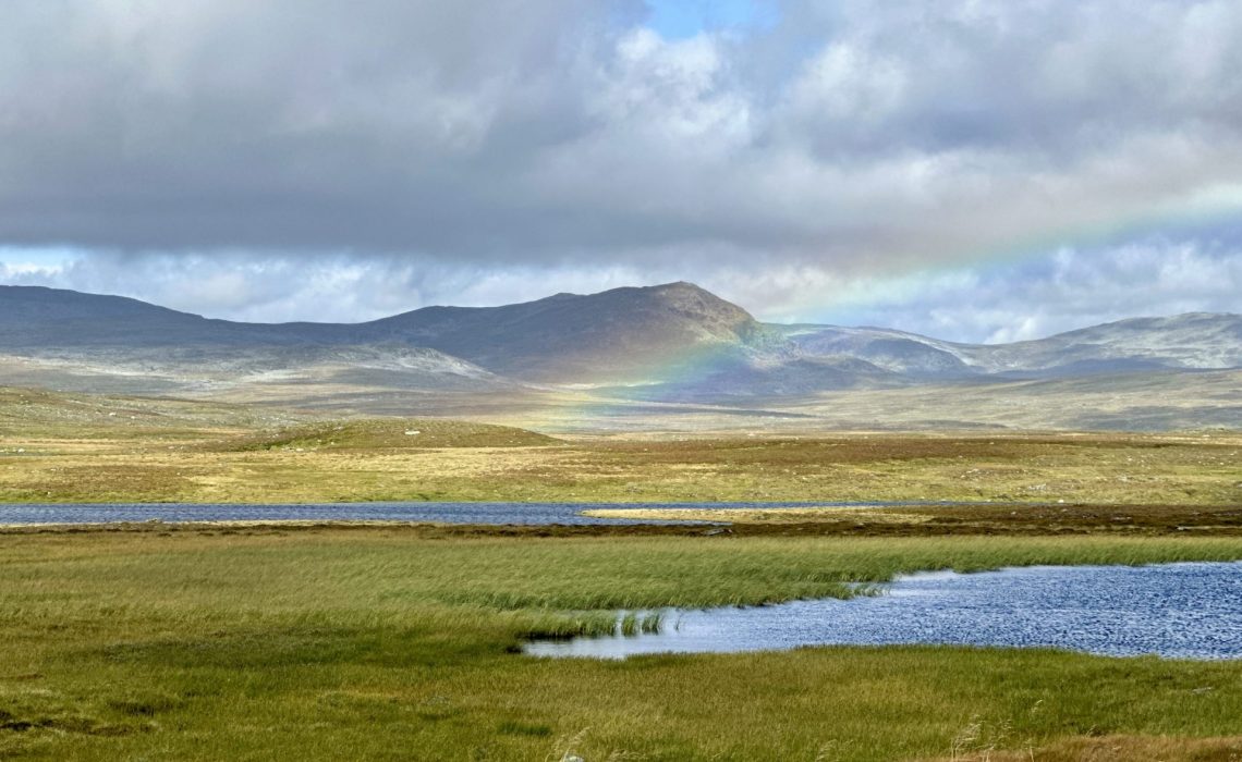 Stekenjokk Rainbow. Photo: Anne Adsten