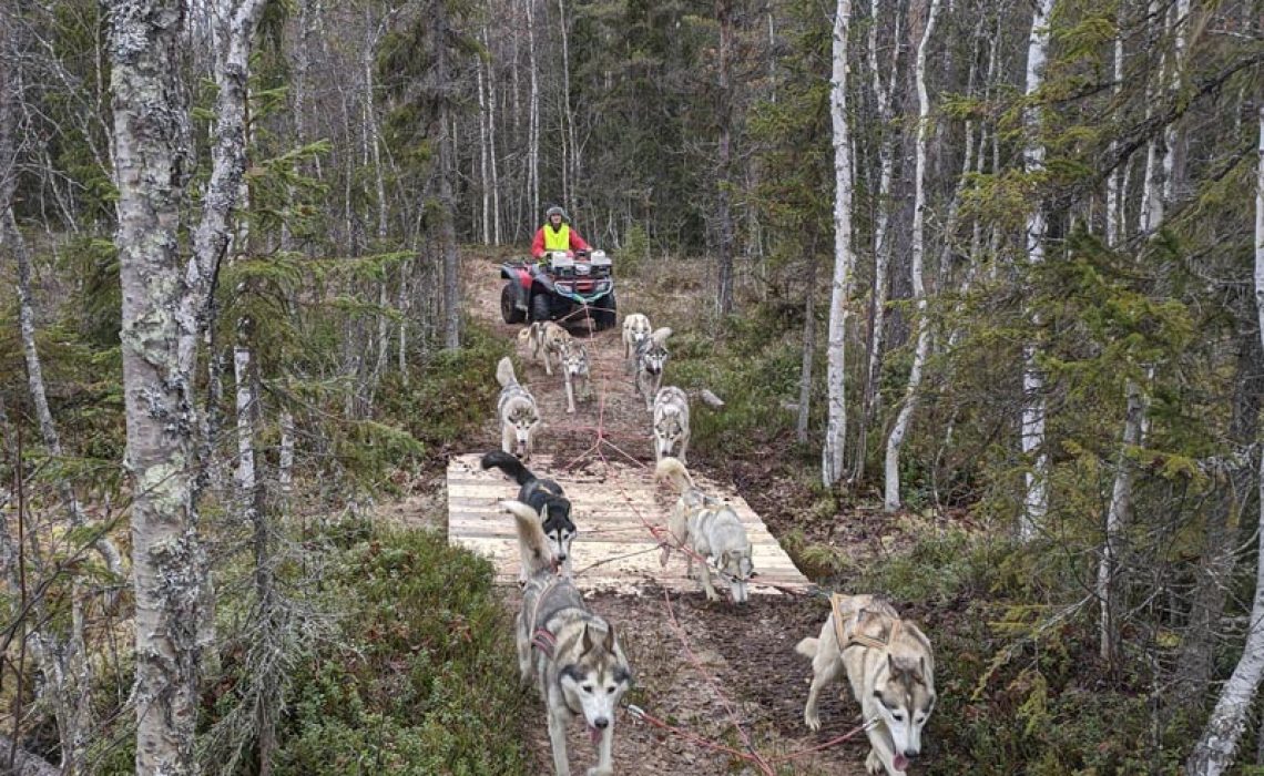 Nordic Husky Farm