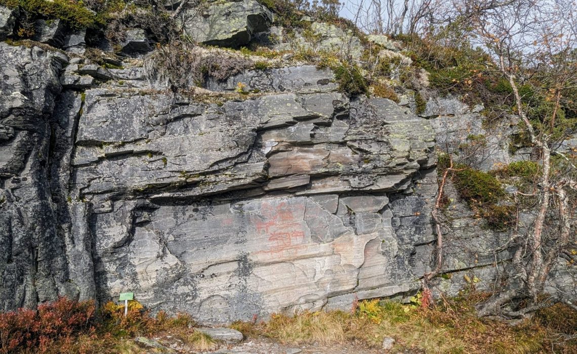 Hällmålningar Flatruet Funäsfjällen