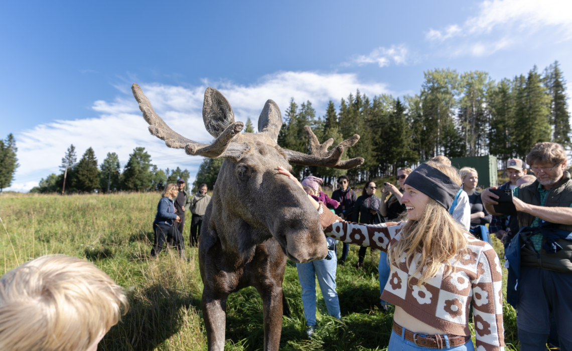 Jennifer Kristensson Mid Scandinavia Tours