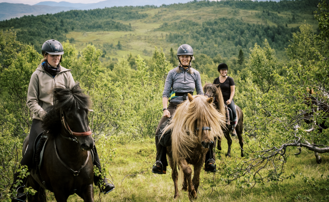 Ridning Jämtland Härjedalen Darren Hamlin
