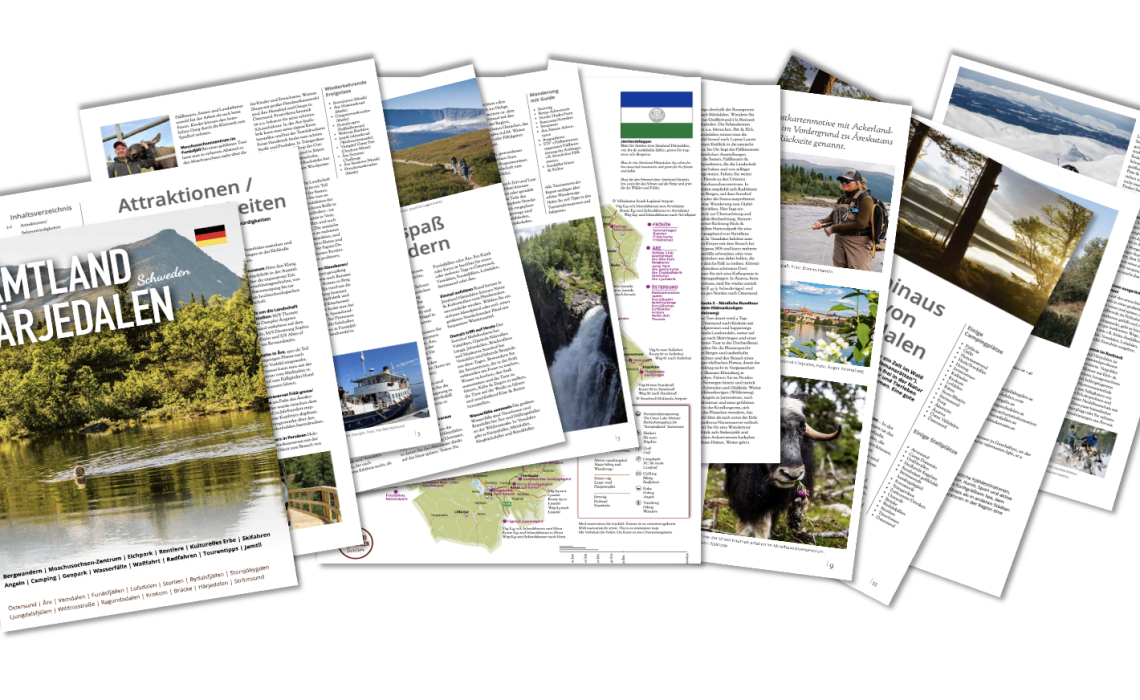 Tysk reseguide sidor 2025