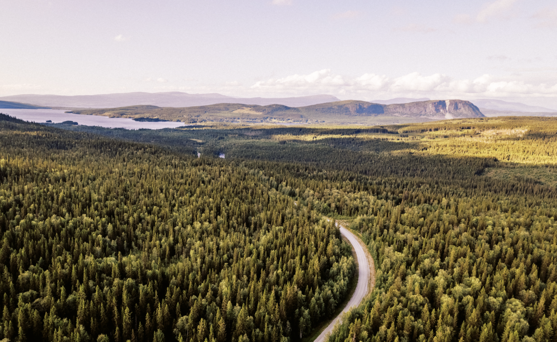 Vildmarksvägen Darren Hamlin