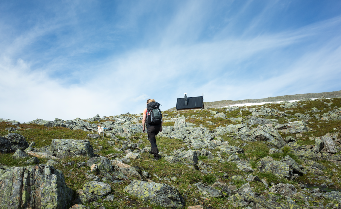 Vindskydd Snasahögarna Jonas Herjeby