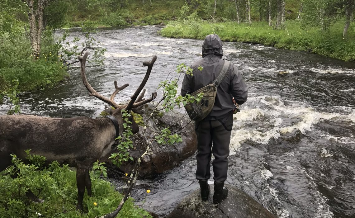 Laxviken fiske ren Marcus Sandström