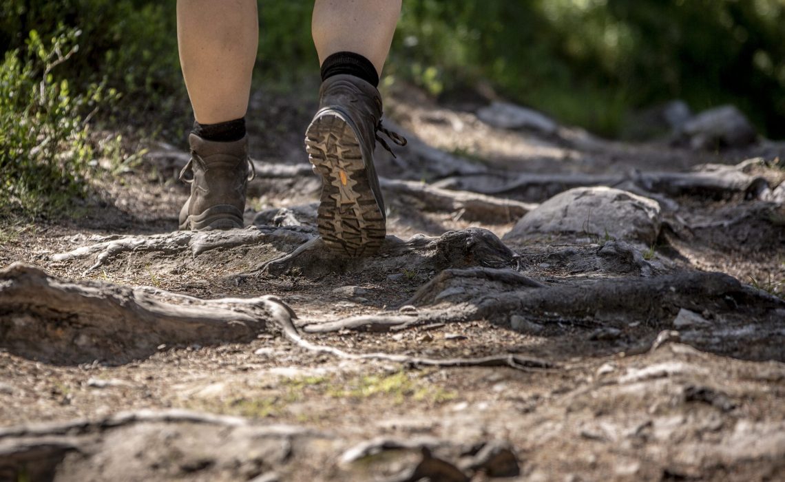 Sommarled, Per Danielsson